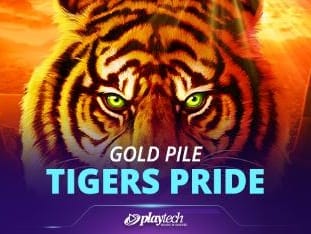 Gold Pile Tigers Pride icon
