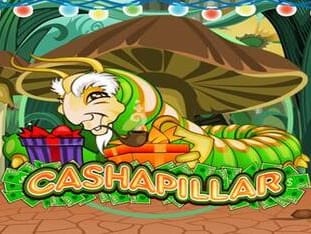 Cashapillar icon