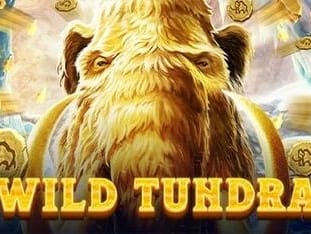 Wild Tundra icon